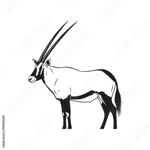 A close-up of an antelope with long horns