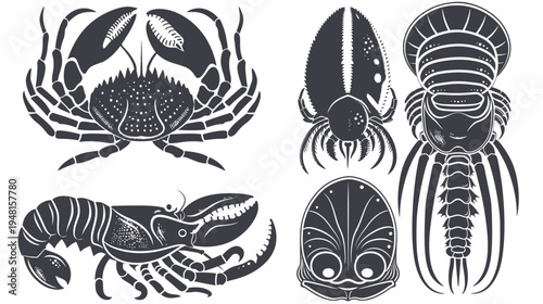 Stylized illustrations of various crustaceans and marine life forms in a detailed, grayscale graphic design