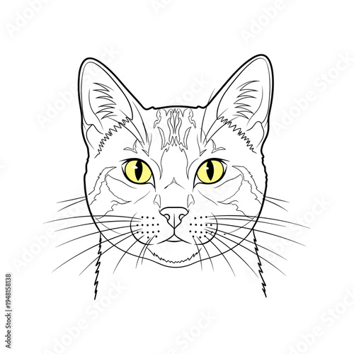 A black and white drawing of a cat's face