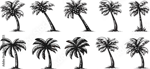 A collection of vintage hand-drawn sketches of palm trees in various hurricane weather conditions vector illustration.