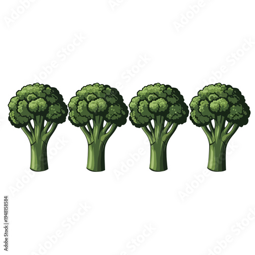 Four green broccoli crowns on, fresh vegetable