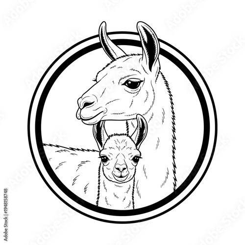 Black and white illustration of llama and baby in a circle