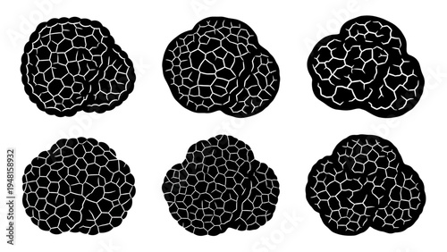 Black Truffle Mushroom Set