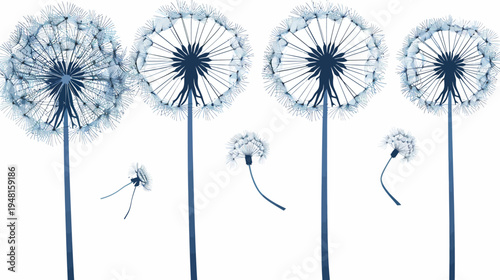 Artistic depiction of dandelions in various stages of bloom, with a soft blue and white palette