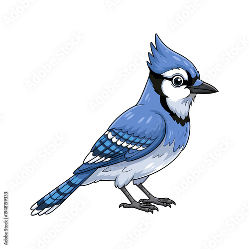 A cartoon blue jay standing on a plain white background
