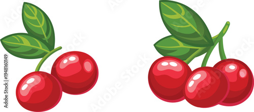 A high-quality vector illustration of red cherries on a pure white background