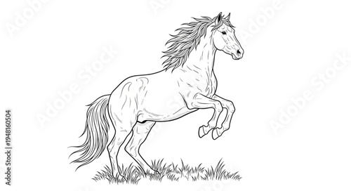 Majestic Horse Rearing Up - A Detailed Coloring Page Illustration.