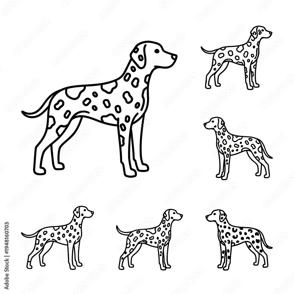 Fototapeta premium Dalmatian Dog Illustrations - Spotty Canine Poses
