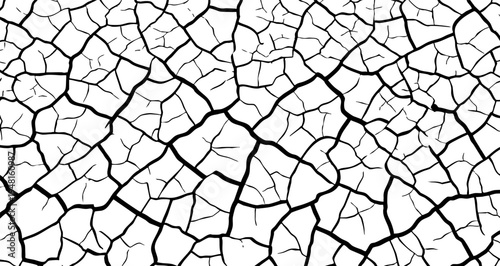 Dry cracked earth texture. Black network of deep cracks on a white background, imitating a desert surface or parched soil. Vector illustration.