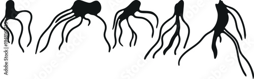 Roots silhouette set vector illustration. Different shapes of plant root systems and tubers isolated on white background
