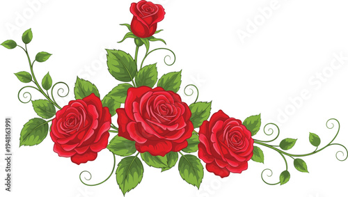 Red Rose Bouquet with Green Leaves Botanical IllustrationRed Rose Bouquet with Green Leaves Botanical Illustration