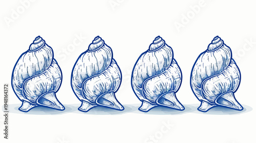 Illustration featuring four blue-and-white seashells lined up against a white backdrop