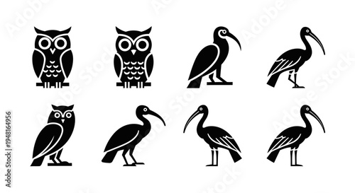 Set of stylized black silhouette icons: owls and ibises, isolated on white background