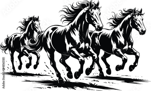 Running wild horses illustration, powerful galloping stallions herd vector artwork in black and white western wildlife nature scene