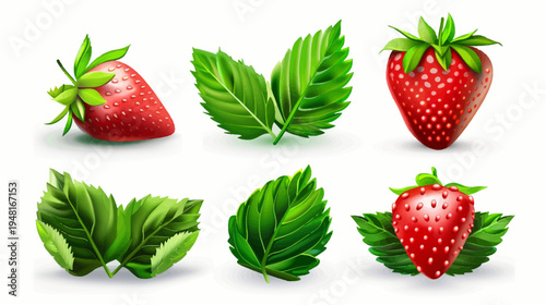 Illustration of strawberries with green leaves, isolated on a white background