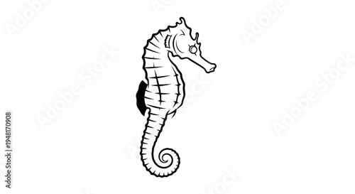 Seahorse marine animal side view.