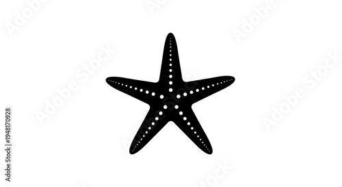 Black starfish with white spots marine.