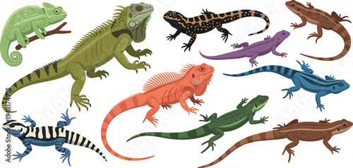 Lizard and Iguana Reptile Collection Cartoon Wildlife Vector Illustration Set