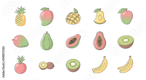 Colorful vector fruits collection