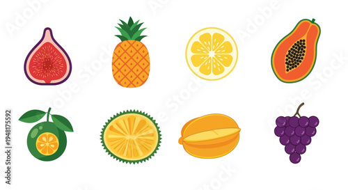 Colorful vector illustration of various fruits