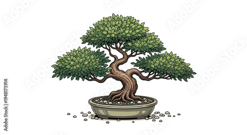 Japanese bonsai tree in a pot illustration isolated on white background