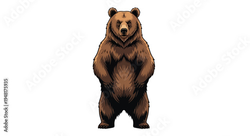 Illustration of a brown bear standing on a white background