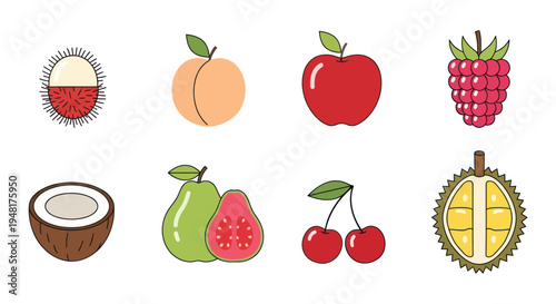 Colorful vector illustrations of various fruits