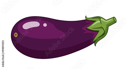 Fresh purple eggplant vegetable isolated on white background vector illustration