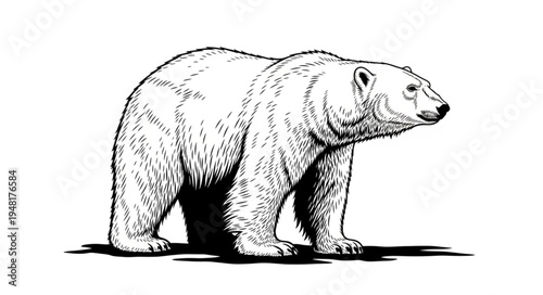 Detailed illustration of a majestic polar bear standing in a simple setting.
