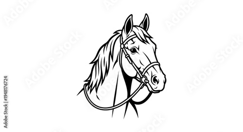 Detailed Horse Head Illustration with Bridle in Black and White.