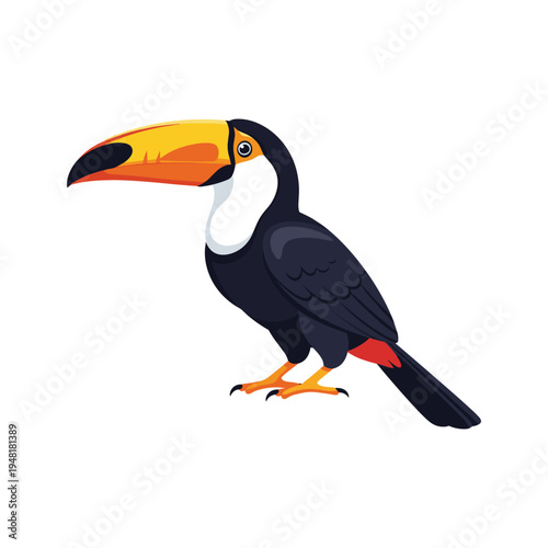 A colorful toucan with a large beak