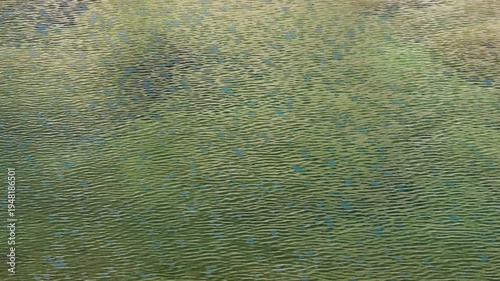 清流の水面に春風が吹き波紋が出来る1