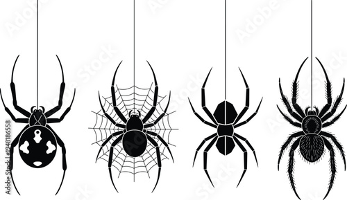 Black vector silhouette set of diverse spiders hanging from webs including black widow and tarantula isolated on white background for Halloween and nature concepts