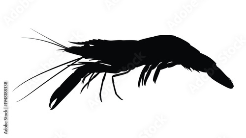 A highly detailed and realistic silhouette of a large prawn or shrimp with multiple legs and antennae on a white background for seafood and marine life identification