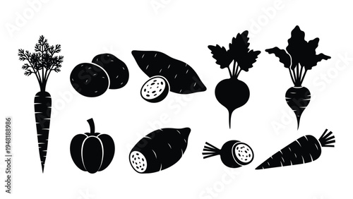 A collection of various vegetables including root vegetables and other types of produce