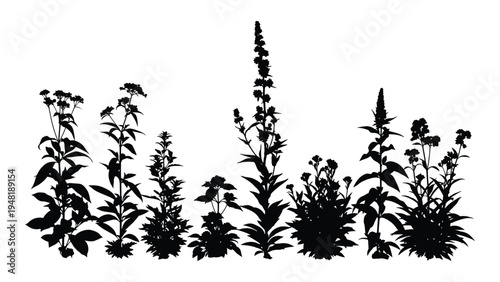 A serene and natural scenery of various wildflowers and plants in a simple black silhouette against a clean white background, evoking a sense of calmness and tranquility in a minimalist style.