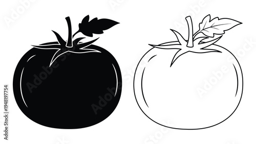 A detailed analysis of tomato illustrations in black and white