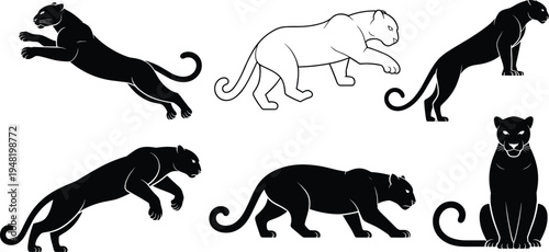 Black panther silhouette collection set, powerful predatory wild cat poses including jumping, walking, and sitting, isolated vector icons on white.
