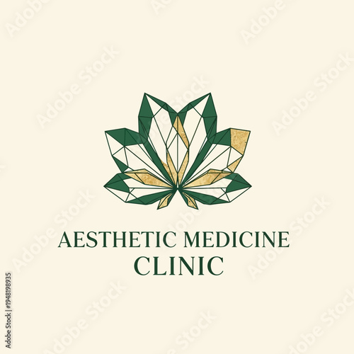 Geometric Lotus Flower Logo for Aesthetic Medicine Clinic.