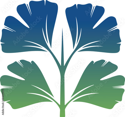 Ginkgo biloba leaf branch vector illustration with blue and green gradient colors representing traditional herbal medicine and botanical art