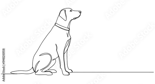 Continuous one-line art illustration capturing the elegant silhouette of a loyal dog sitting patiently, a minimalist design concept perfect for clean and modern graphic projects