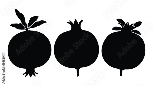 A detailed analysis of pomegranate silhouettes in a horizontal arrangement