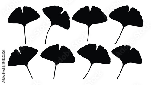 A collection of seven black ginkgo biloba leaves on a white background, showcasing their unique fan-shaped form and stems in a simple yet elegant arrangement