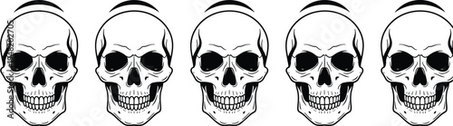 Collection of human skull illustrations in vintage engraving style, detailed anatomical skull set isolated on light background