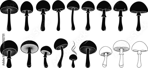 Collection of mushroom silhouettes in different shapes and species, botanical fungi set isolated on light background for nature design