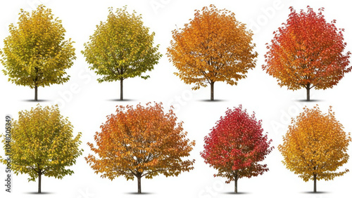 A vibrant collection of autumn trees with red and orange maple leaves stands against a blue sky in a colorful forest landscape