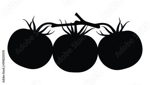 A detailed analysis of a black silhouette image of three tomatoes on a vine