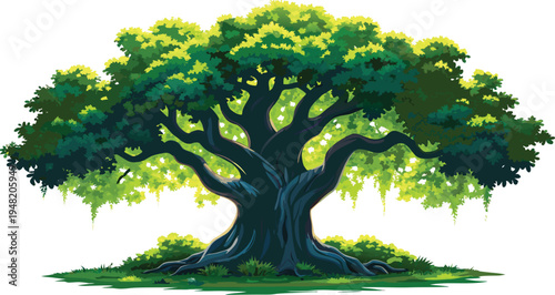 A majestic, ancient oak tree with a thick, gnarled, and twisted trunk, vector illustration style.