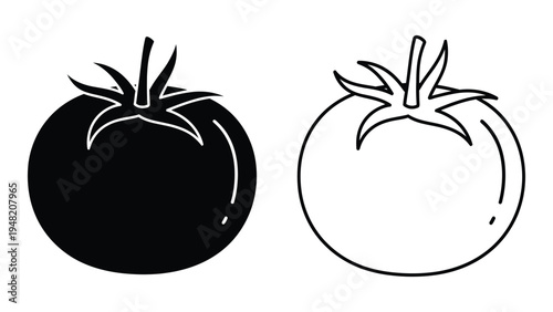 Detailed analysis of tomato illustration featuring two distinct tomatoes