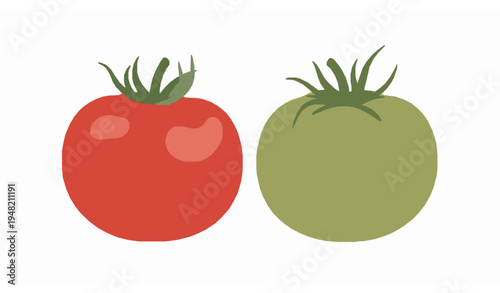 Red and Green Tomatoes Fresh Vegetable Vector Illustration Isolated on White Background